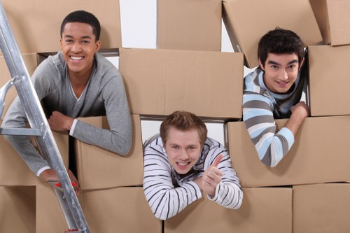 Experienced movers assisting with relocation